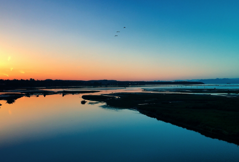 1716995390556400.png image.png