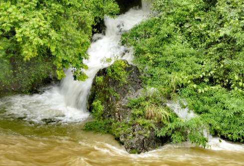 1716995559658902.png image.png