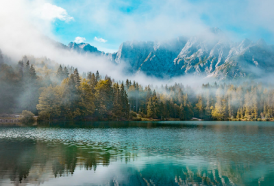 ​党代表述职报告15篇