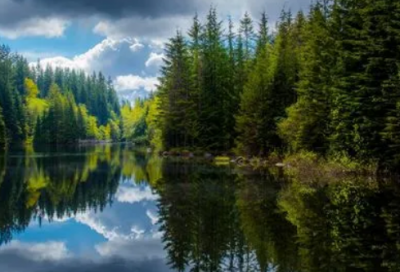 ​描写缘分的优美句子100句