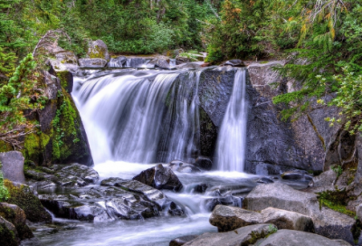​赞美女人的诗句（精选350句）