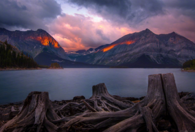 ​榜样的力量观后感（通用18篇）