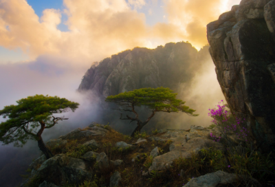 ​元朝的历史地位及其影响