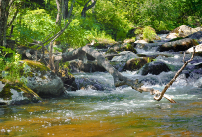 ​困难补助申请书（精选22篇）