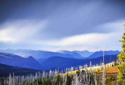 ​面试自我介绍范文（通用21篇）