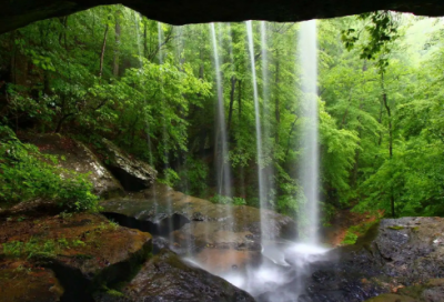​加入学生会宣传部申请书（精选13篇）