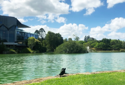 ​关于辞职信的范文格式（精选20篇）