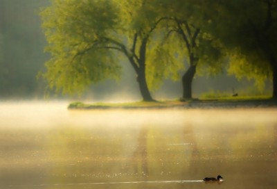 ​就业自我推荐表自我评价（精选18篇）
