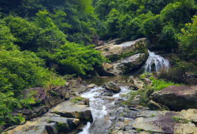 ​个人的优点和缺点总结（精选6篇）