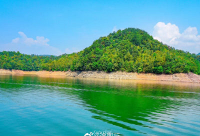 ​孕妇吃什么鱼好