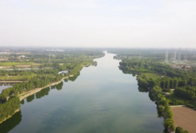 ​员工工作表现评语通用