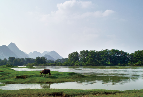 1717010684137400.png image.png