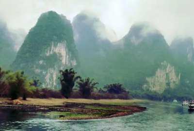 ​盆栽铁皮石斛的种植方法