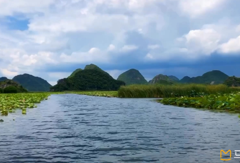 1717011357138743.png image.png