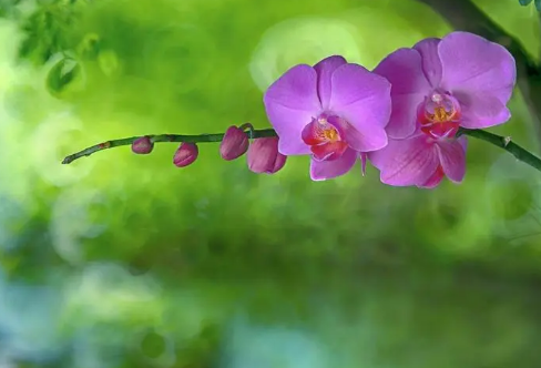 1719065576950787.png image.png