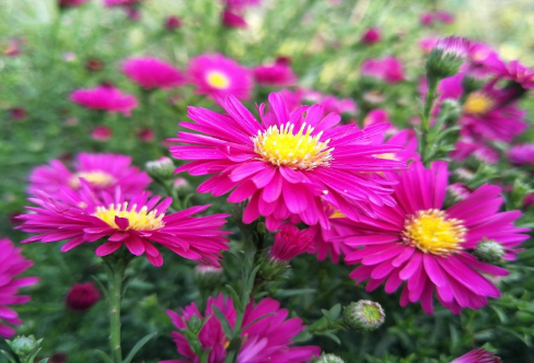 1719066910672887.png image.png