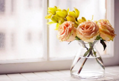 ​杜甫：绝句漫兴·熟知茅斋绝低小