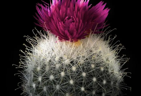 1719072923136965.png image.png