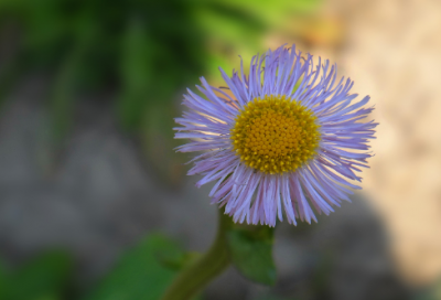 ​关于写作的古诗词名句精选