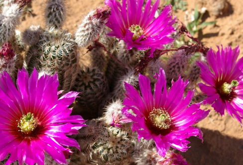 1719075094249799.png image.png