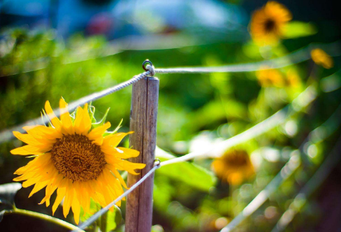 1719081939426057.png image.png