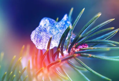 1719082606116771.png image.png