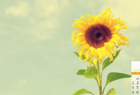 1719085276105836.png image.png