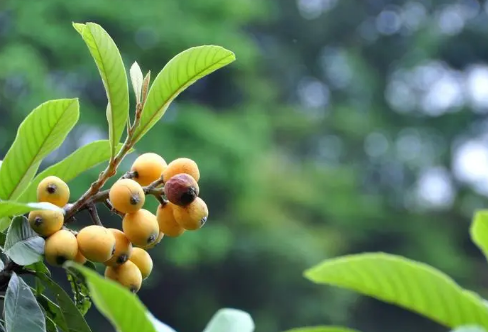 1719090448300533.png image.png