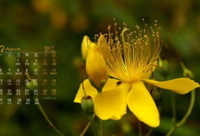 ​刘禹锡的千古名句