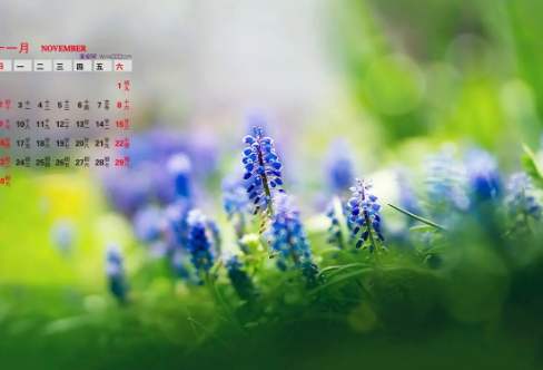 1719095287102183.png image.png