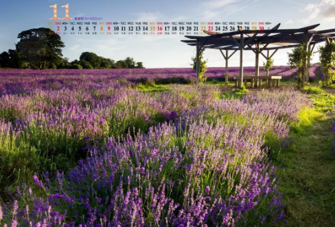 1719097290404326.png image.png