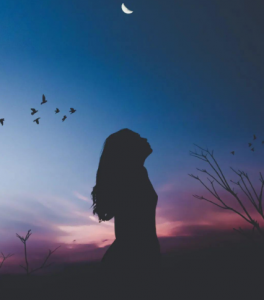 ​描写沙漠的诗句