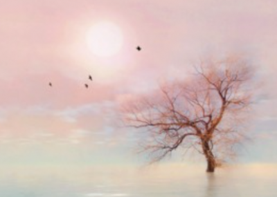 ​描写阿里山的诗句