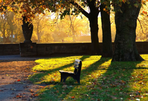 1720021100169760.png image.png