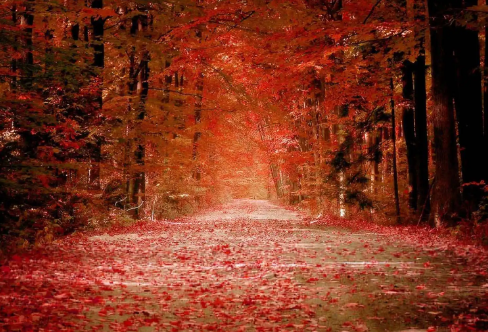 1720022785600164.png image.png