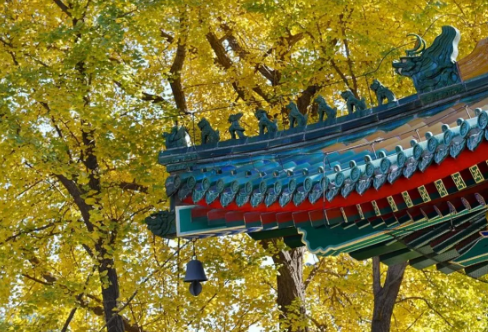 1720023459786448.png image.png