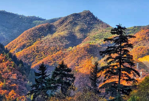 1720026661194675.png image.png