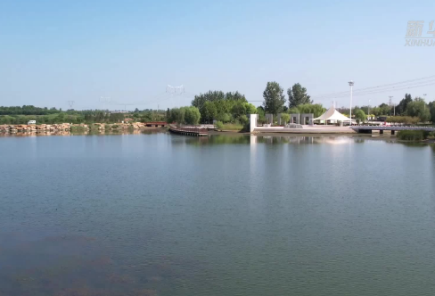 1720027503771215.png image.png