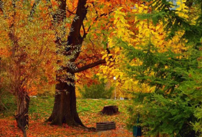 ​带露云的女人网名