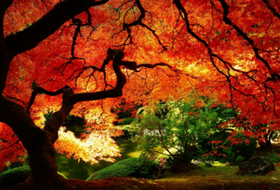 ​带梦字的网名带南字