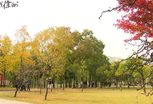 1720030200947559.png image.png