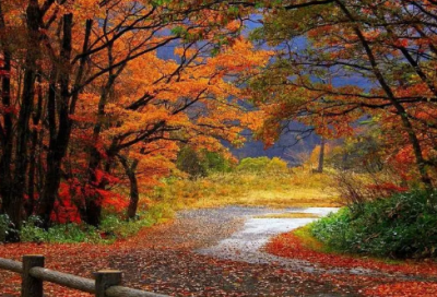 ​带青的网名幽默女生