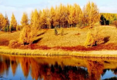 ​带森屿字的网名女生