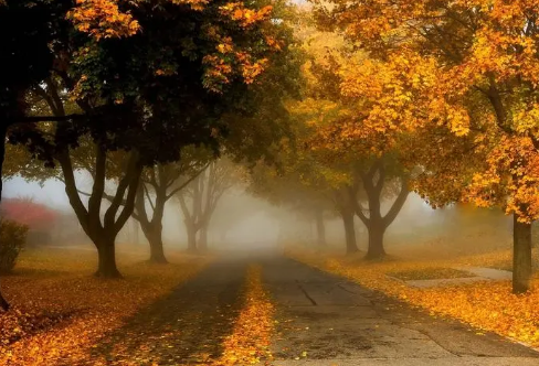 1720031547835591.png image.png