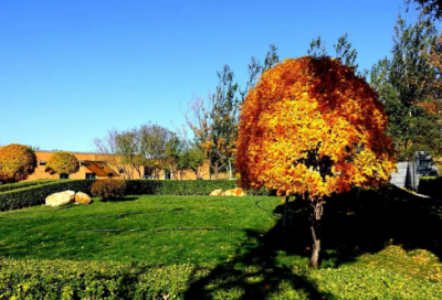 ​带微和峰的网名