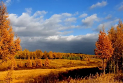 ​带夏字的网名有哪些