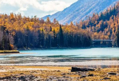 ​带香樟树的网名男孩