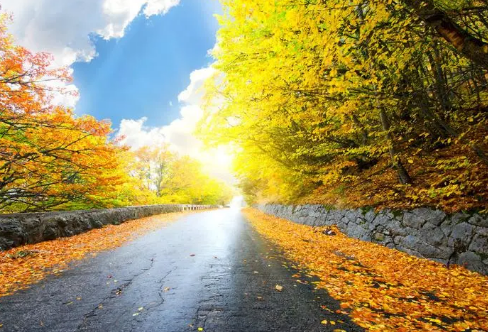 1720063181103543.png image.png