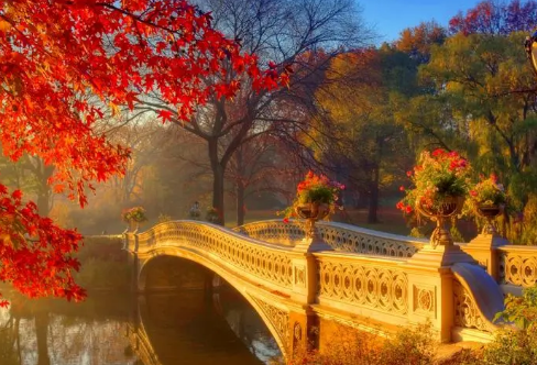 1720063855136892.png image.png