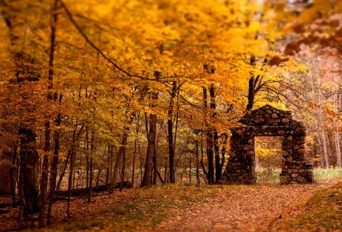 1720064192688078.png image.png